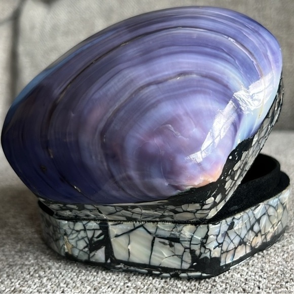 ๐ Beautiful Handmade Polished Purple Clam Shell Jewelry/Trinket Box - Picture 5 of 11